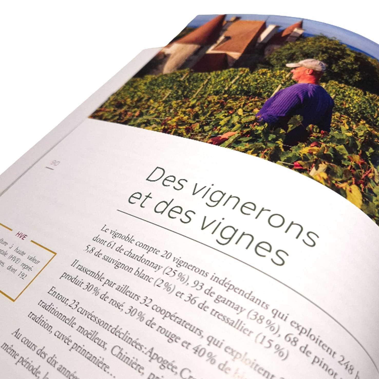 Livre "Le réveil d'un vignoble" – Image 2