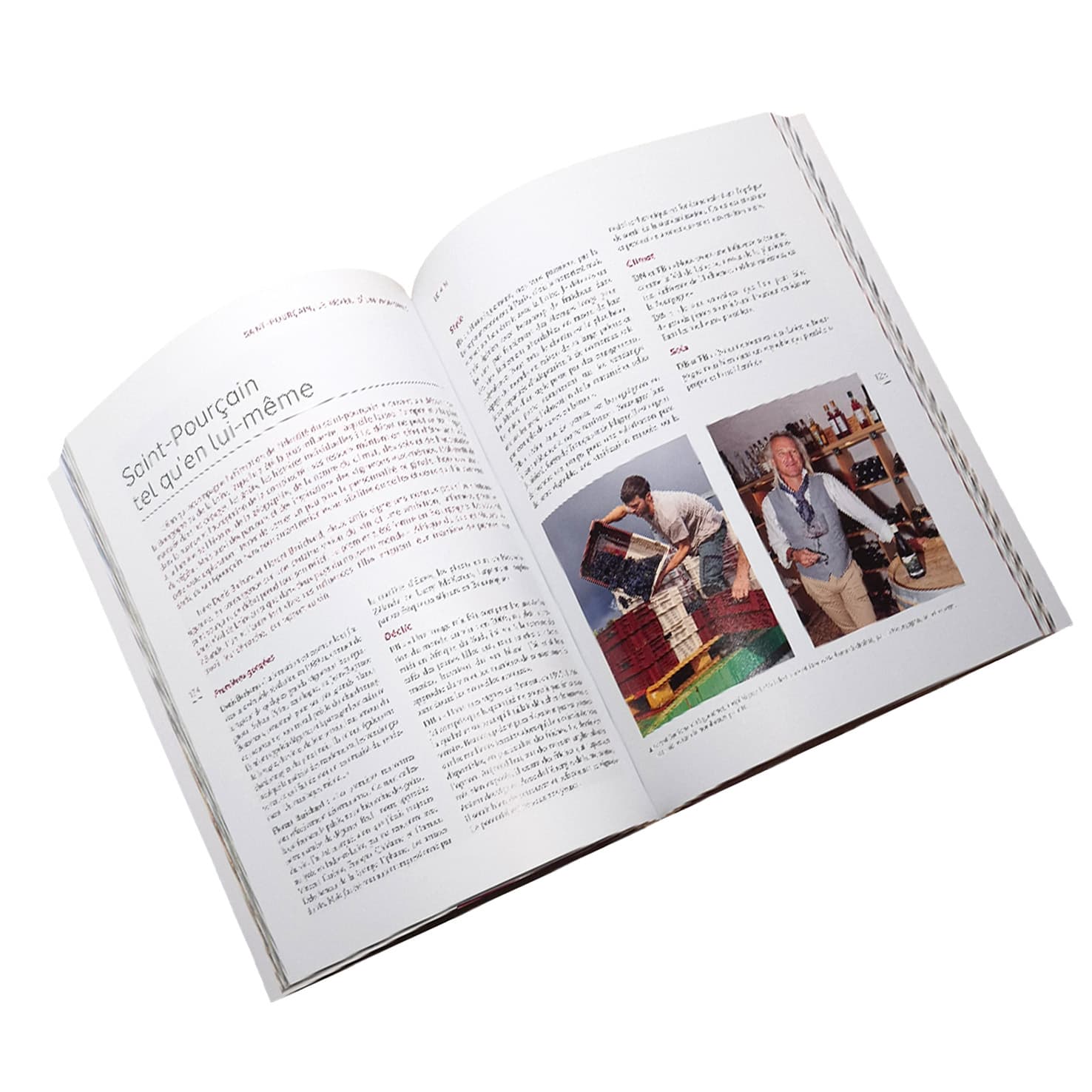 Livre "Le réveil d'un vignoble" – Image 4